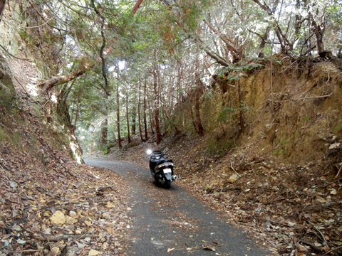 DSCN2567.jpg