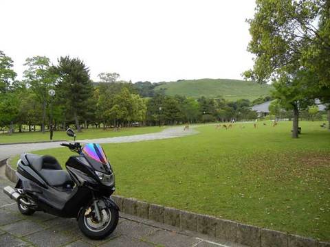 DSCN3382.jpg