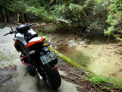 DSCN3620.jpg