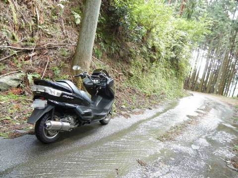 DSCN4235.jpg