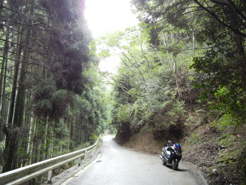 DSCN4343.jpg