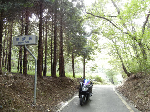 DSCN4350.jpg
