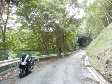DSCN4352.jpg