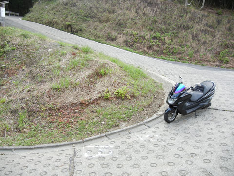 DSCN4372.jpg