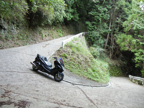DSCN4379.jpg