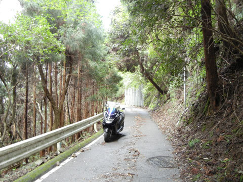 DSCN4384.jpg