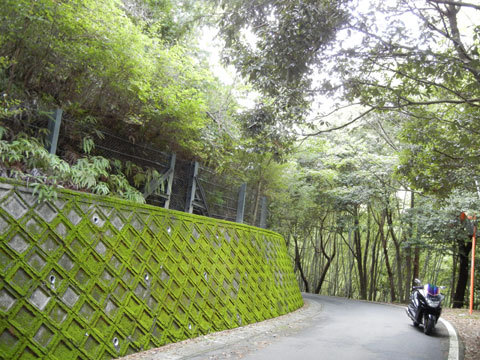 DSCN4391.jpg
