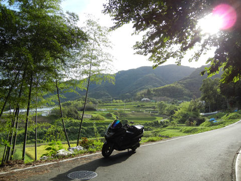 DSCN4394.jpg
