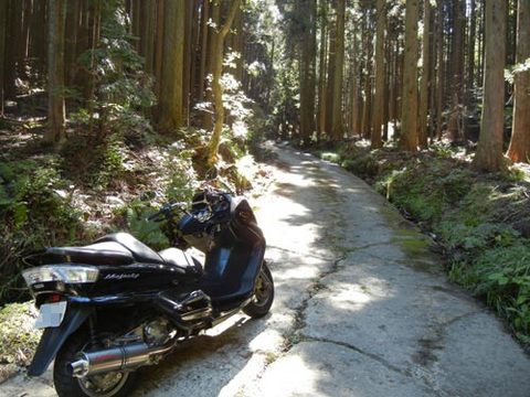 DSCN4871.jpg