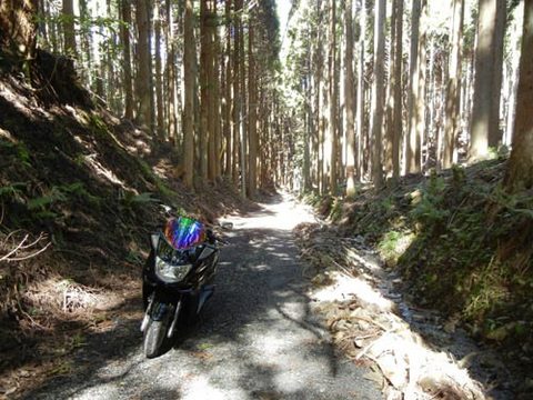 DSCN4873.jpg