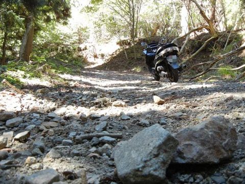 DSCN4902.jpg