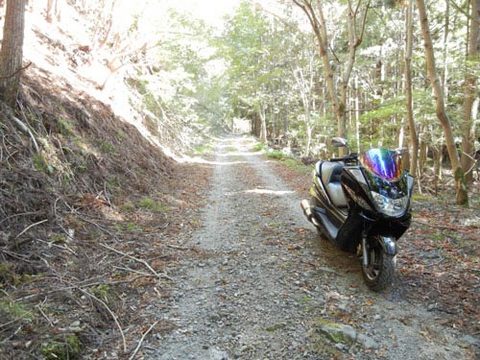 DSCN4933.jpg