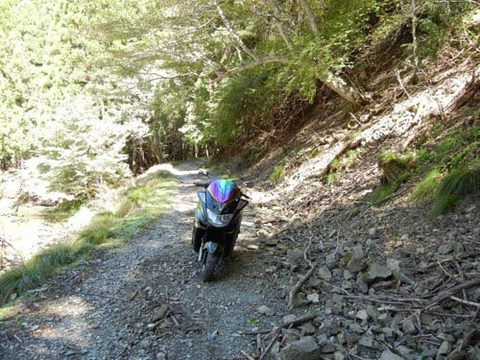 DSCN4945.jpg