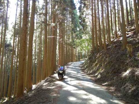 DSCN4968.jpg