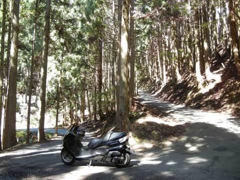 DSCN4971.jpg