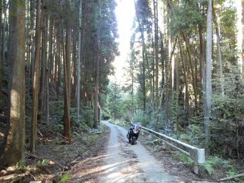 DSCN4998.jpg