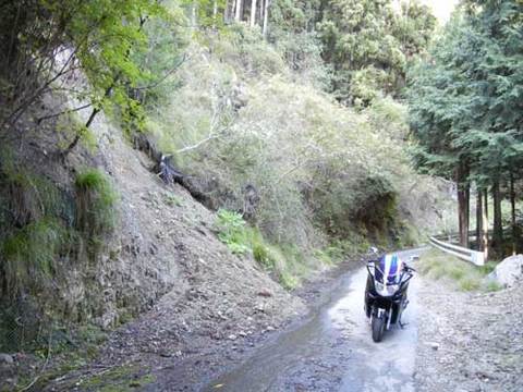 DSCN5009.jpg