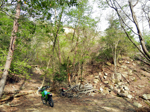DSCN8557.jpg