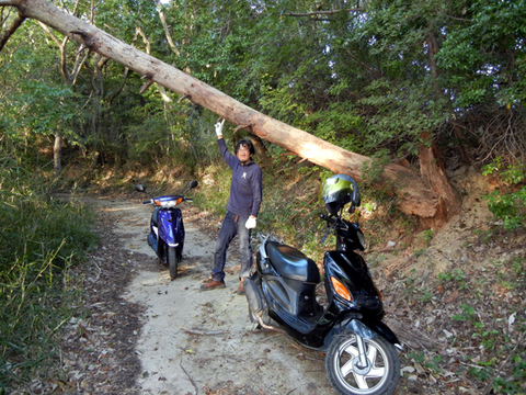 DSCN9591.jpg